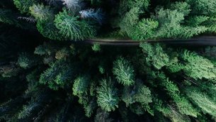 Photo by Geran de Klerk