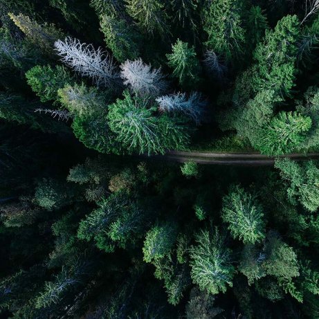 Photo by Geran de Klerk